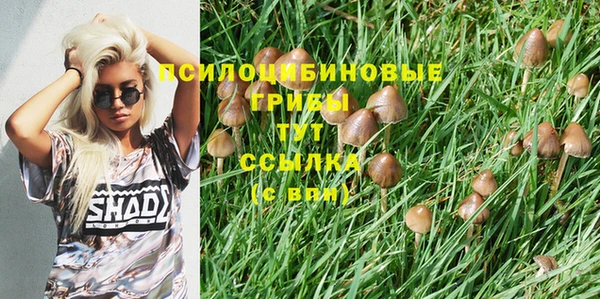 бутират Вяземский